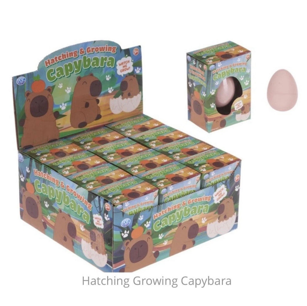 Hatch and grow Capybara egg novelty kids toy