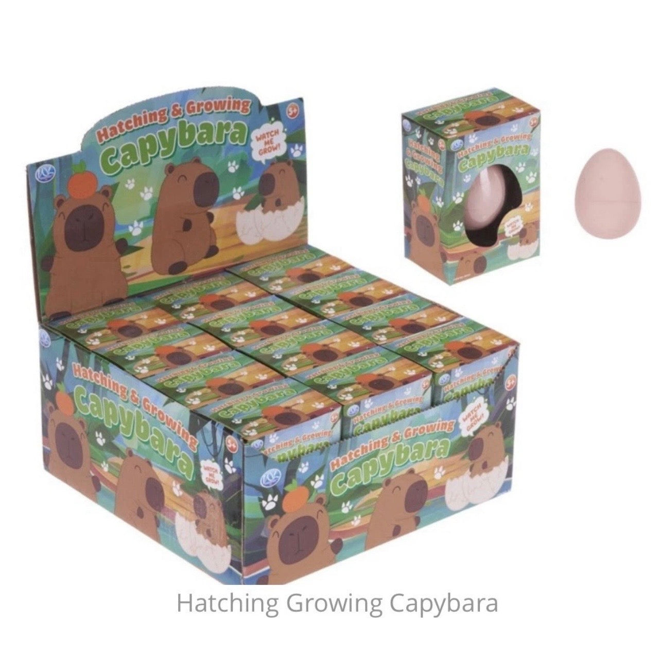 Hatch and grow Capybara egg novelty kids toy