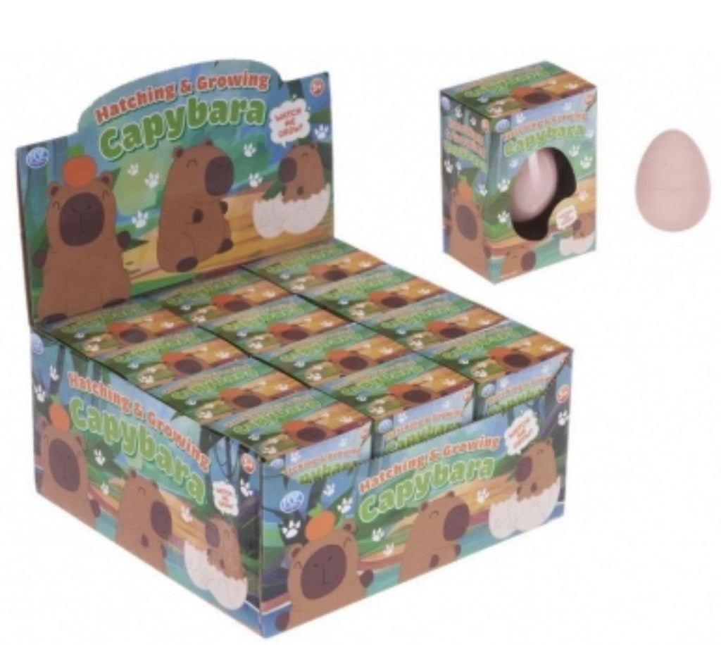 Hatch and grow Capybara egg novelty kids toy
