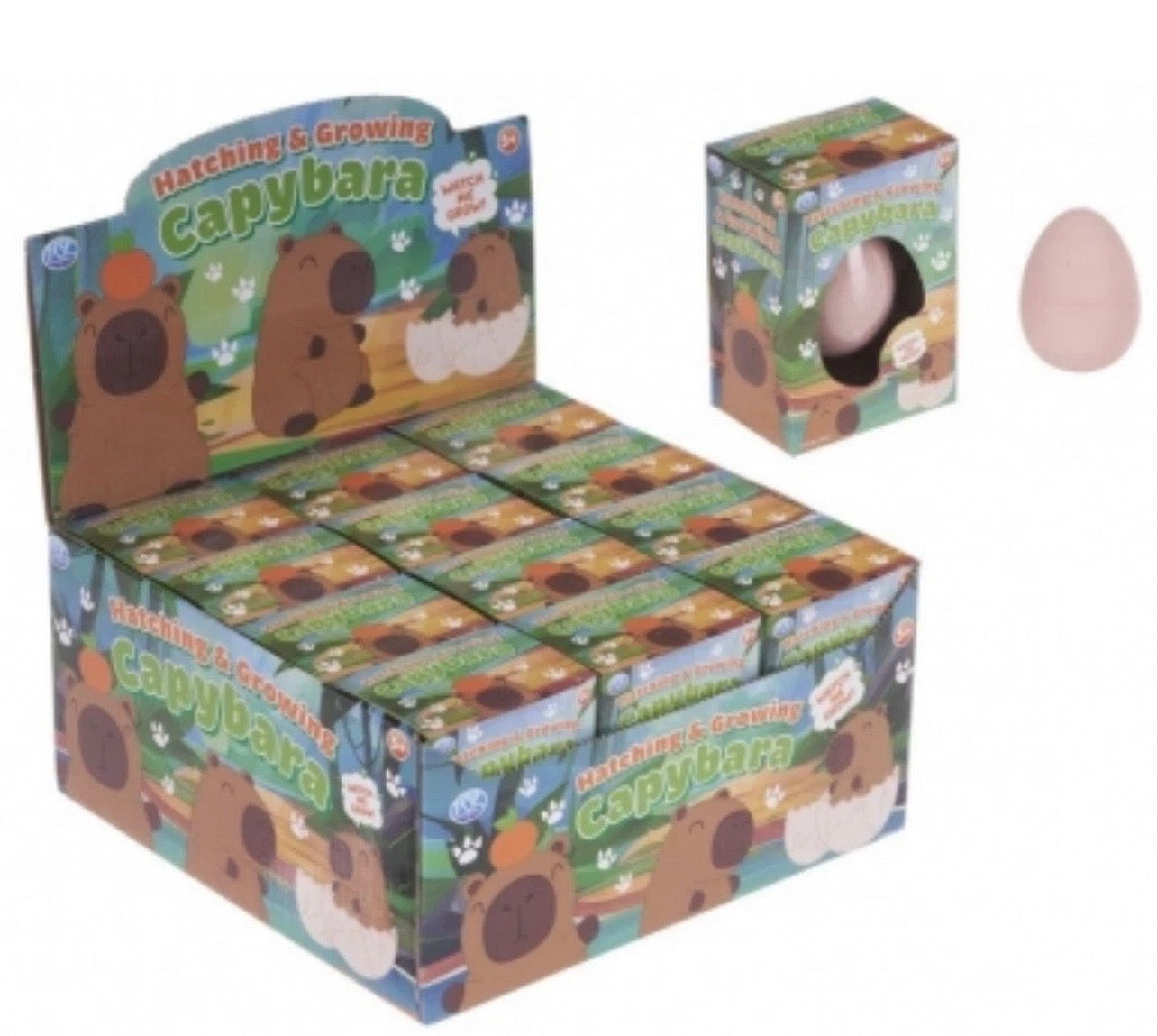Hatch and grow Capybara egg novelty kids toy