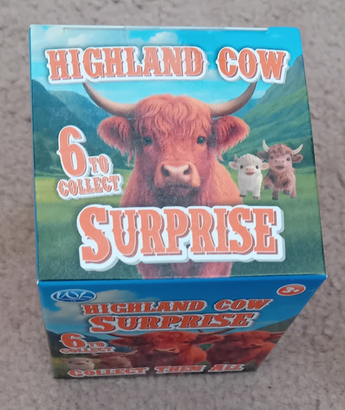 Cute Highland Cow Surprise Box. 6 Characters to Collect. ( 1 provided)