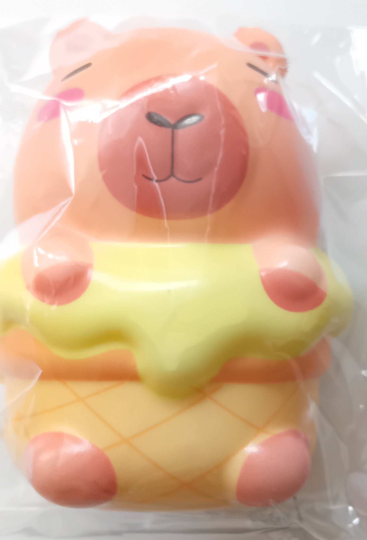 Whizz Toys Capybara In An Ice Cream Cone Fidget Toy