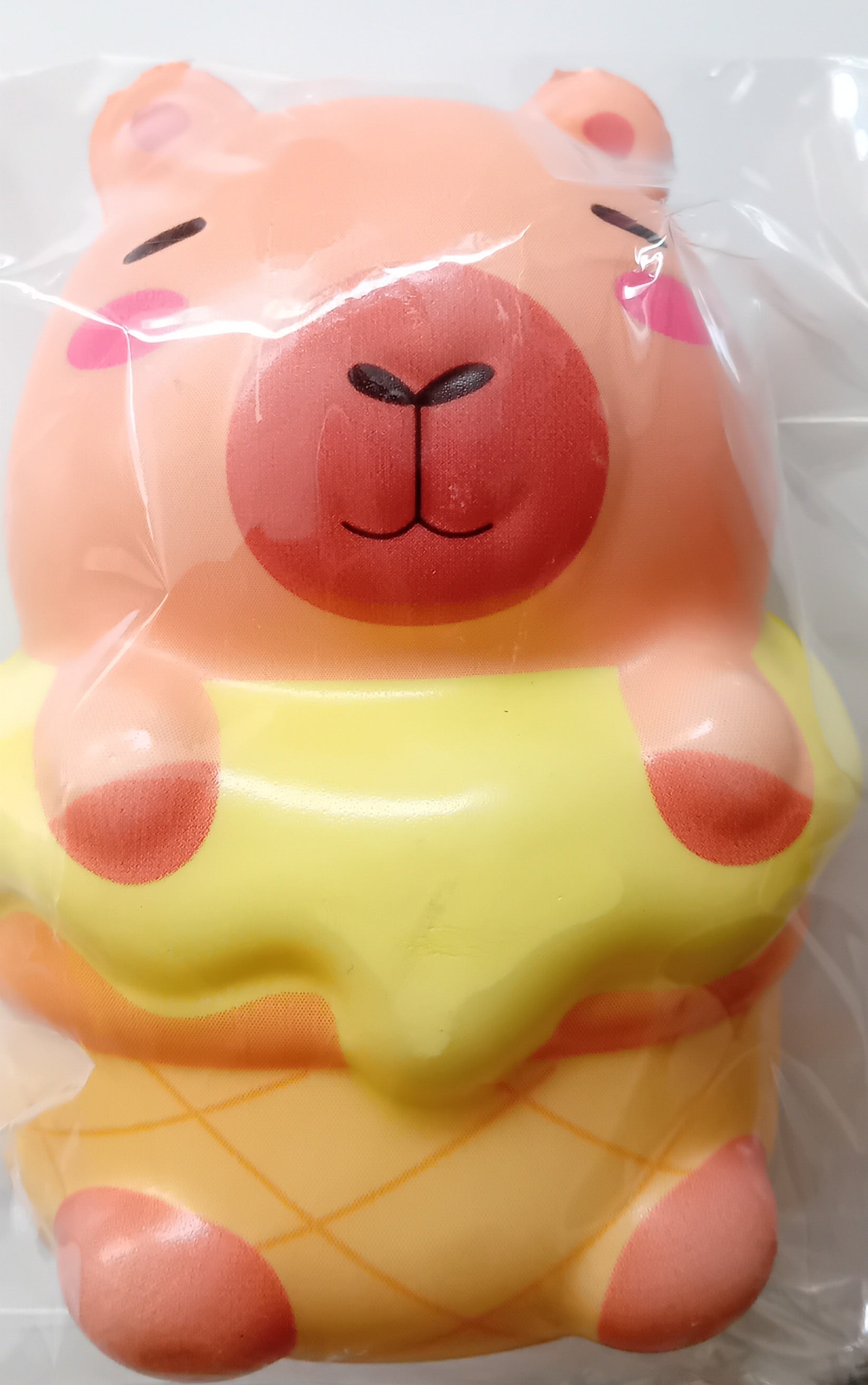 Whizz Toys Capybara In An Ice Cream Cone Fidget Toy
