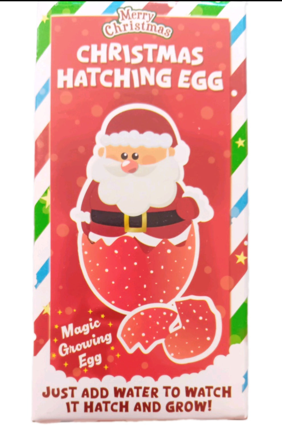 Christmas Hatching Egg