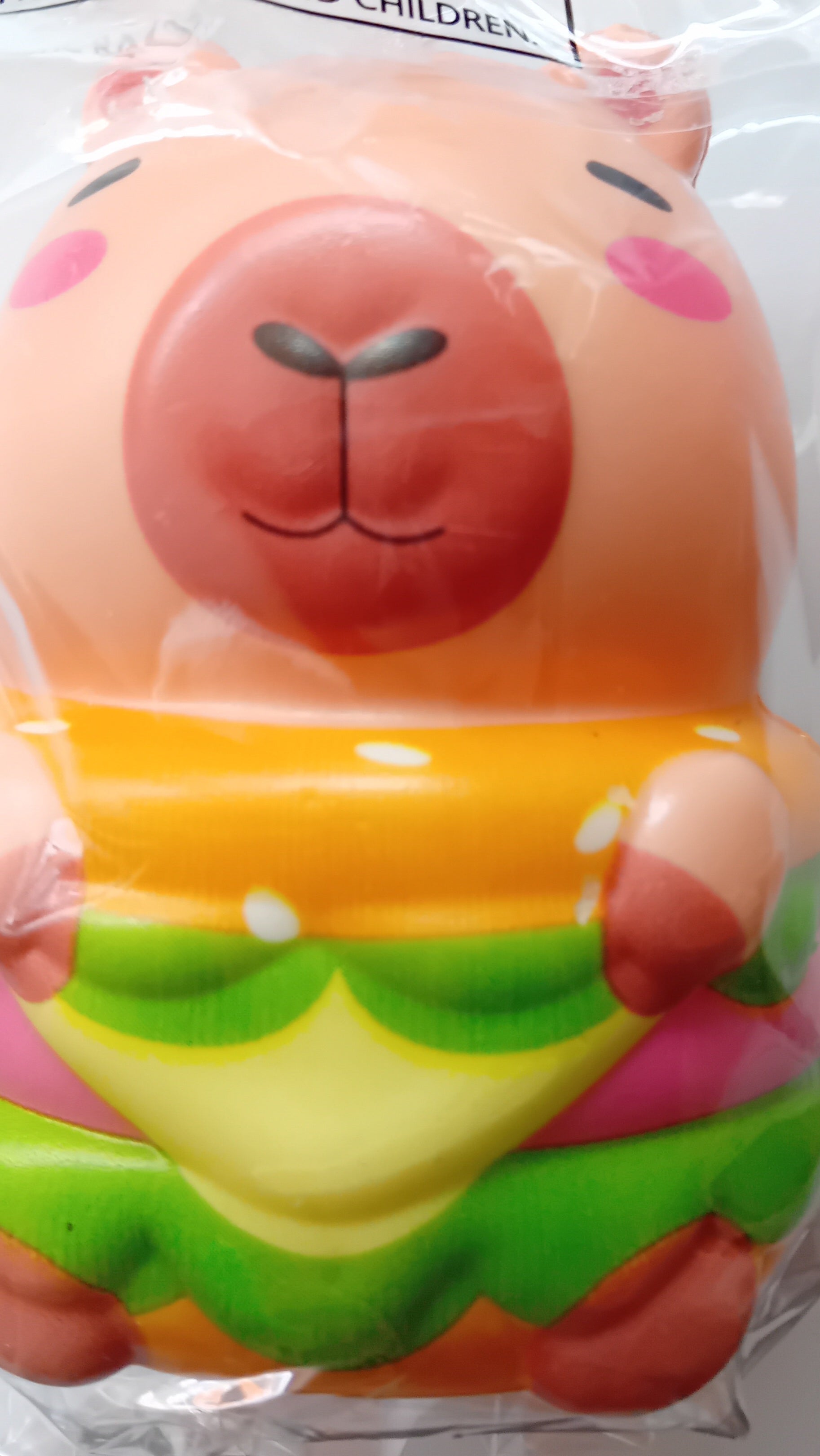 Whizz Toys Capybara in a Burger Bun Fidget Toy