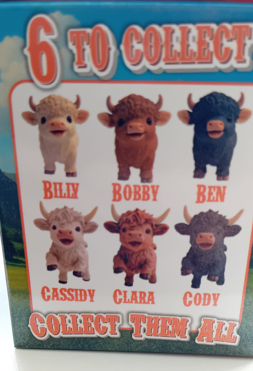 Cute Highland Cow Surprise Box. 6 Characters to Collect. ( 1 provided)