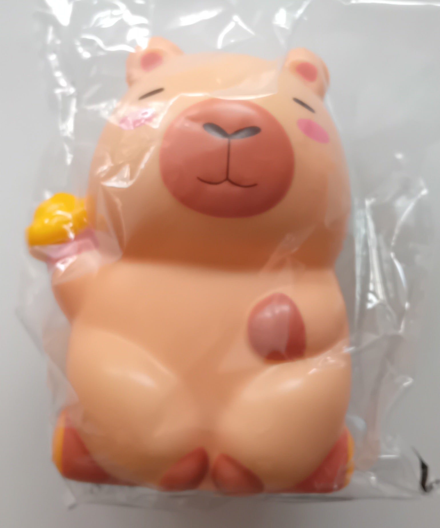 Whizz Toys Novelty Squishy Capybara on a log Fidget Toy