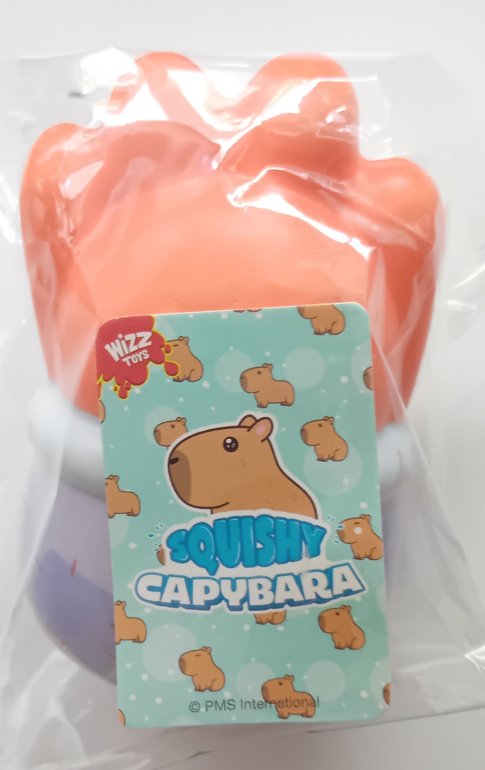 Whizz Toys Novelty Squishy Capybara Good Luck For You Fidget Toy